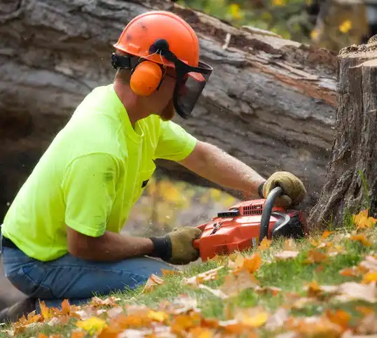 tree services Whispering Pines